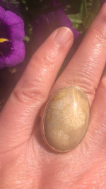 Jamie Joseph Ring