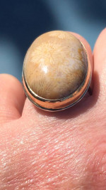 Jamie Joseph Ring