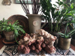 Aragonite cluster