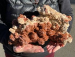Aragonite cluster