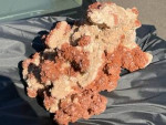 Aragonite cluster