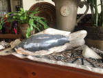 Fossilized wood fish
