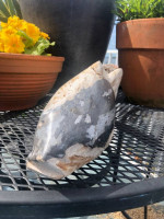 Fossilized wood fish