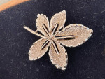Gold Tone Brooches
