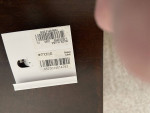 Charter Club Silvertone NWT Earring Hoops
