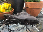 Petrified wood carved fish