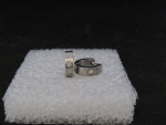 Stainless Steel Hoop Earrings with CZ