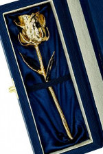24k gold dipped rose