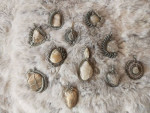 Jewelry bundle lot