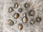 Jewelry bundle lot
