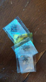 Nose Piercing Jewelry