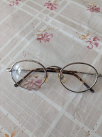 Glasses frames