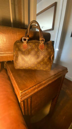 Louis Vuitton Purses