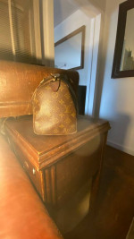 Louis Vuitton Purses