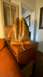 Louis Vuitton Purses