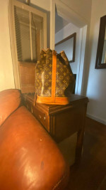 Louis Vuitton Purses