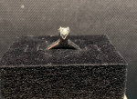 Round Cut Single Sol Diamond Ring
