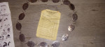 Sterling Silver concho belt