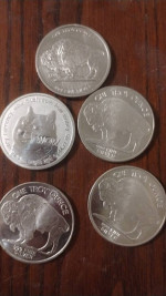 5 oz. Silver.  Genuine