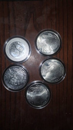 5 oz. Silver.  Genuine
