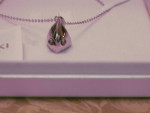 Necklace shark