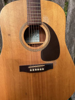 Seagull S6 Acoustic Guitar