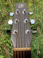 Seagull S6 Acoustic Guitar
