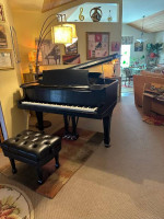 Magnificent 1916 restored and refinished Steinway B 7ft