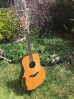 Yamaha LL16R Acoustic Guitar