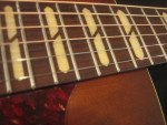 Godin Norman Acoustic Guitar ST30