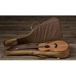 Taylor Academy 22e,Layered Walnut,Walnut Top Acoustic Electric Guitar
