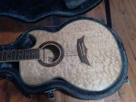 DBZ Acoustic electric