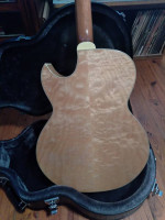 DBZ Acoustic electric