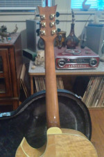 DBZ Acoustic electric