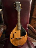 Vintage mandolin