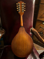 Vintage mandolin