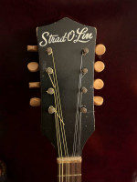 Vintage mandolin