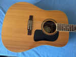 Washburn D10S Dreadnought Acoustic Guitar