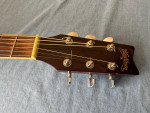 Washburn D10S Dreadnought Acoustic Guitar