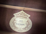Washburn D10S Dreadnought Acoustic Guitar