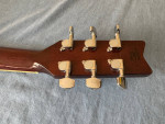Washburn D10S Dreadnought Acoustic Guitar