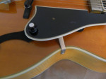 1979 Guild Artist Award