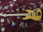 2010 5 String Bass