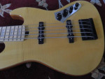 2010 5 String Bass