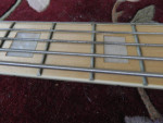 2010 5 String Bass