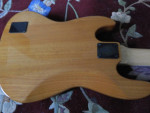 2010 5 String Bass