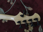 2010 5 String Bass