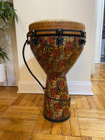 Beautiful Remo Djembe and Bag