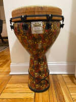 Beautiful Remo Djembe and Bag