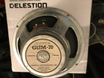 1983 Celestion G12M-70 12” Speaker from a Marshall JCM 800 Amp